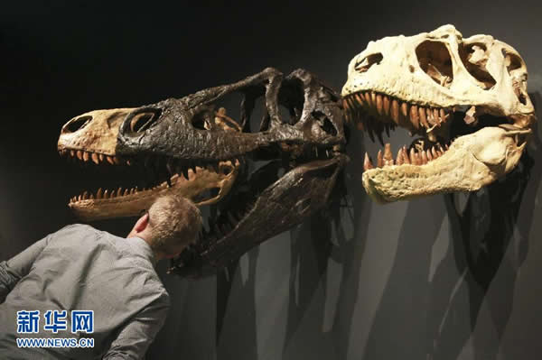 �Ĵ�����Ϥ�ᡰ��ʶ��������ͥ��չ��