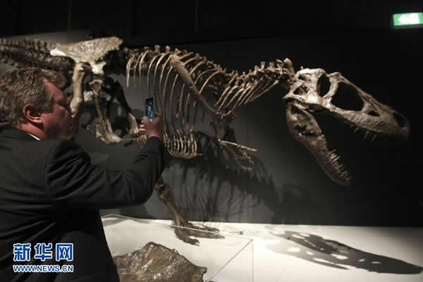 �Ĵ�����Ϥ�ᡰ��ʶ��������ͥ��չ��