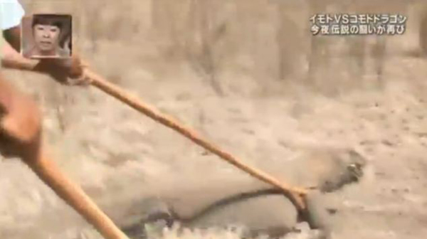 ۺϱӢÿʱ1119ձձһӽĿУһŮϵŰһֻ˻ľǰ񱼡