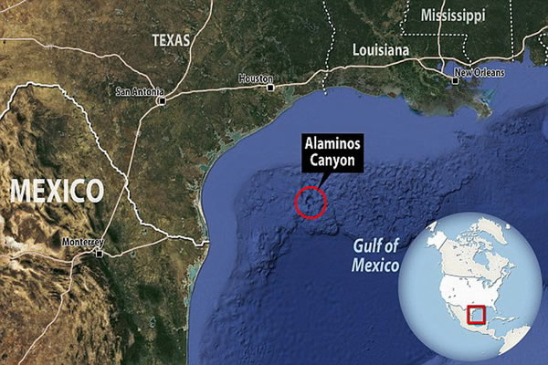 发现长臂乌贼的地点