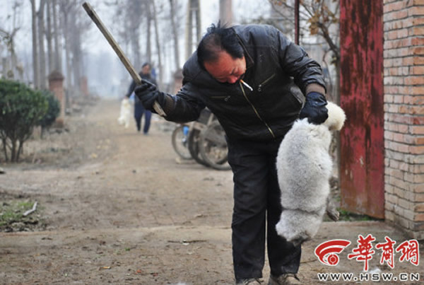 �󲿷ֵĺ��궼�Ǳ�ľ���û�ͷ��������