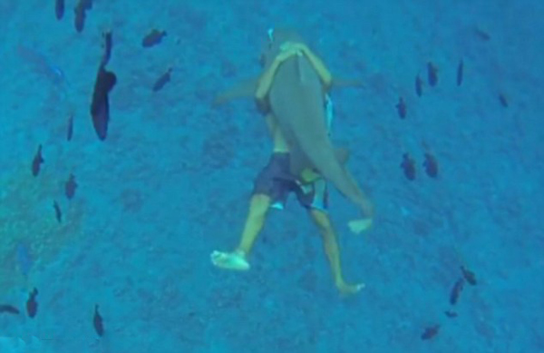 “熊抱”2米鲨鱼深海同游