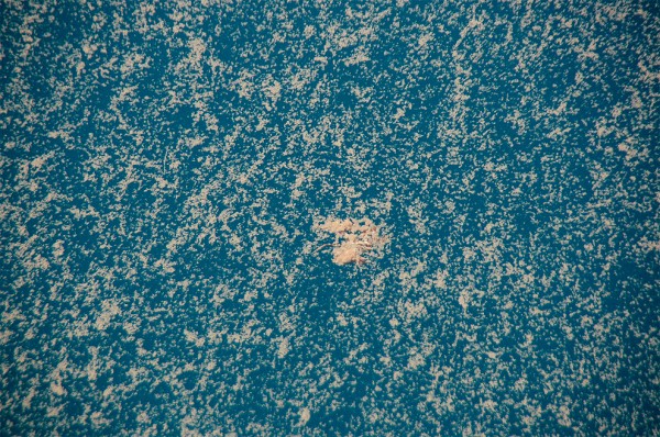Sea snot seen in the Gulf of Mexico in 2010. Image courtesy Arne Diercks
