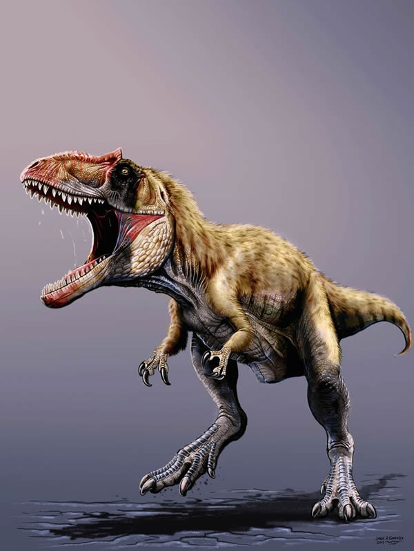The recently discovered dinosaur may have weighed more than four tons and stretc