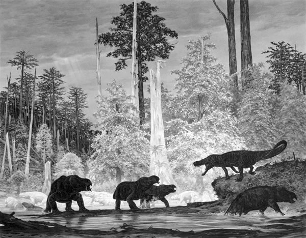 1988꣬ʯɭֲЭˡп˺ɭѧ޲ءʺļͼ׼ȷ͵̬ʱĴСֲ