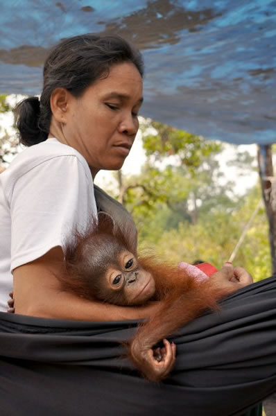 ӡȴһֻĸ´ĺëɱ˿ָֻ