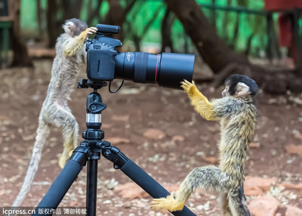 ��������������