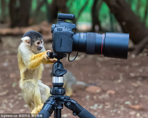 ��������������