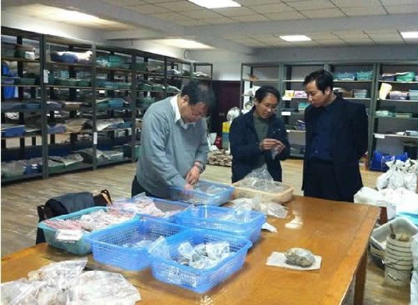 日本奈良文化财研究所专家参观中国旧石器遗址