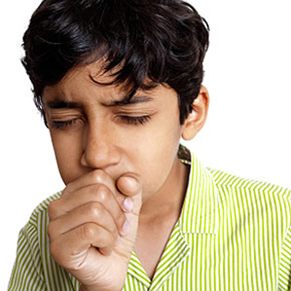 无细胞百日咳疫苗可能预防疾病但是无法防止传