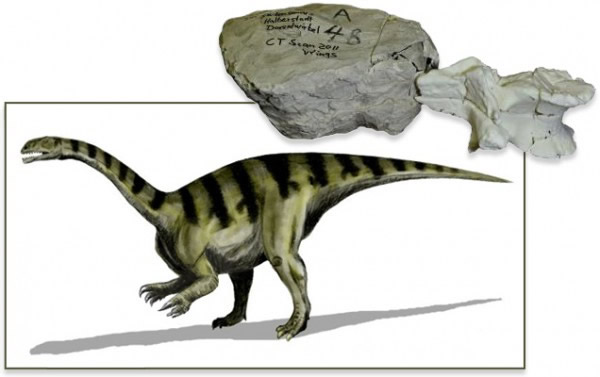 3D打印一只恐龙