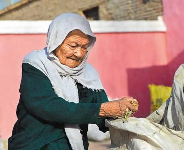 ϲ����ũ��İ����׺�.ɫ������Ժ��������ס�