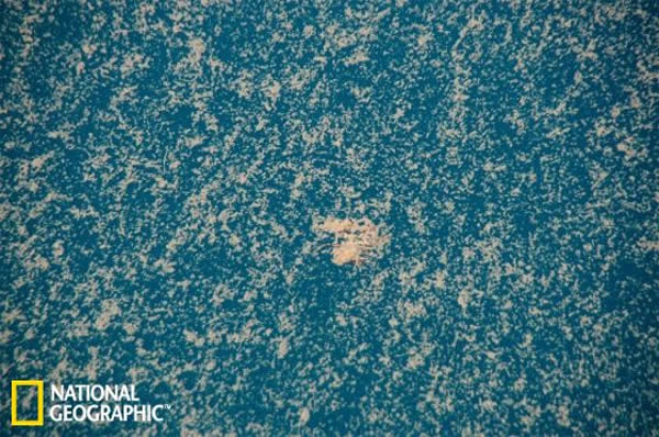 2010��ī�����庣ˮ�еġ������顱