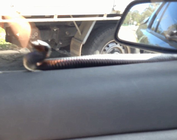 �Ĵ�����˾������ˢ���Ρ���2�״���