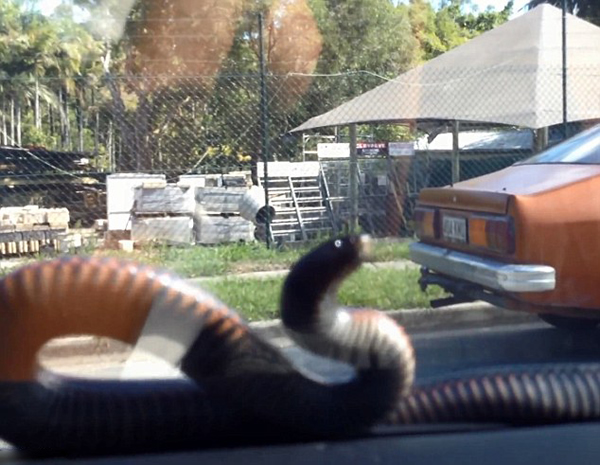 �Ĵ�����˾������ˢ���Ρ���2�״���