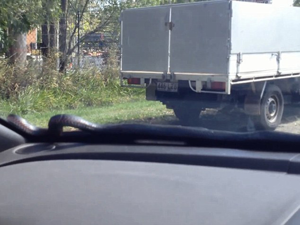 �Ĵ�����˾������ˢ���Ρ���2�״���