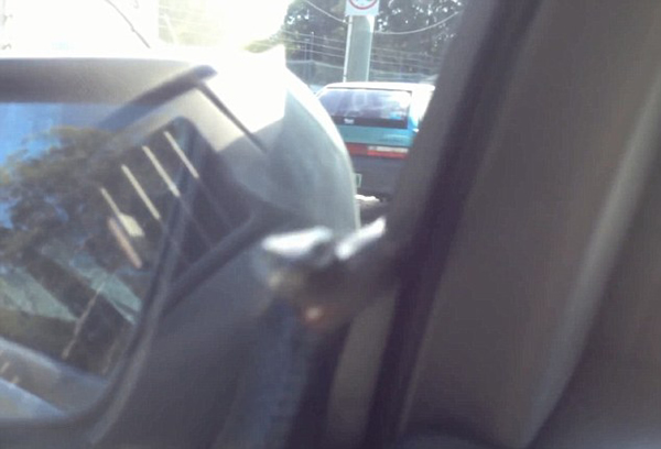 �Ĵ�����˾������ˢ���Ρ���2�״���