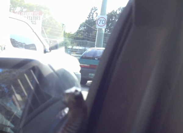 �Ĵ�����˾������ˢ���Ρ���2�״���