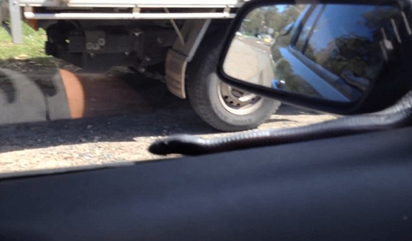 �Ĵ�����˾������ˢ���Ρ���2�״���