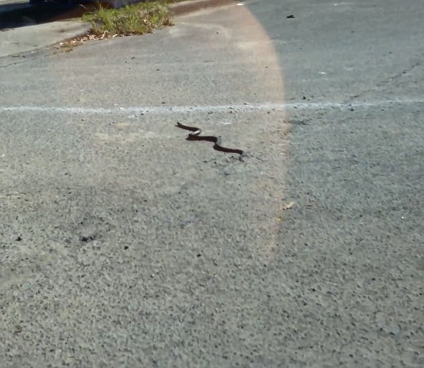 �Ĵ�����˾������ˢ���Ρ���2�״���