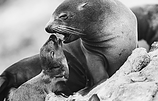 ��������������ܴ���ëƤ�����������ಡ