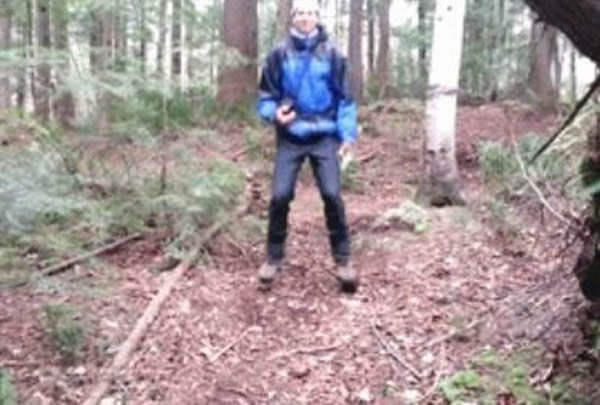 加拿大森林现天然蹦床地面有弹力