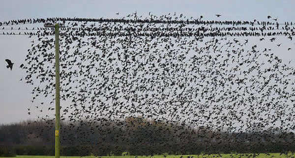 Ӣ������ֻ�����Ǩ������