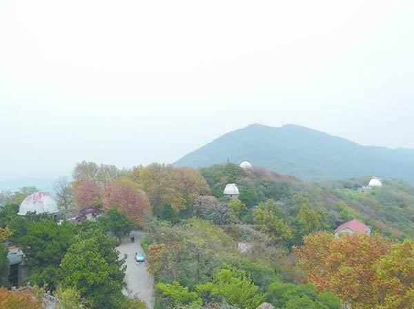 Ⱥɽ֮��ġ���ɫСĢ����������ѧ��Զ����