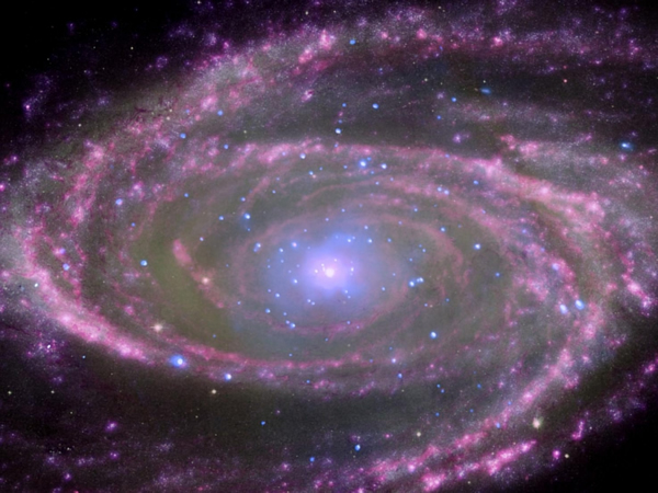 NASA����������ϵM81����Ƭ