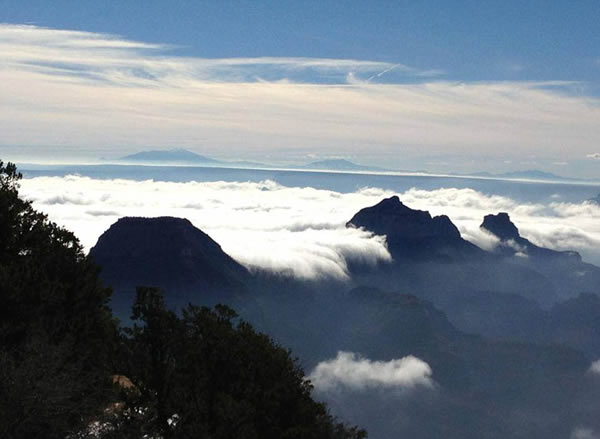 �������������Ͽ�ȵ�׳���ƺ�