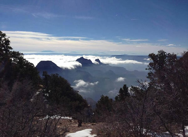 �������������Ͽ�ȵ�׳���ƺ�