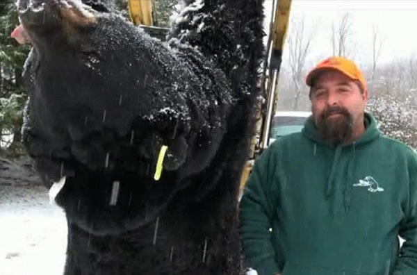 ������Ϧ��������������Ա����в���350������͡�����