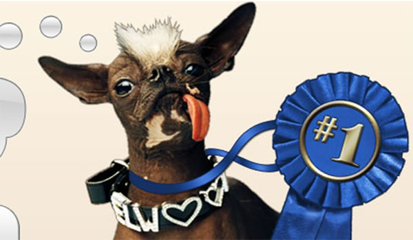 ȫ�������Ĺ��ھ���������������ȥ��