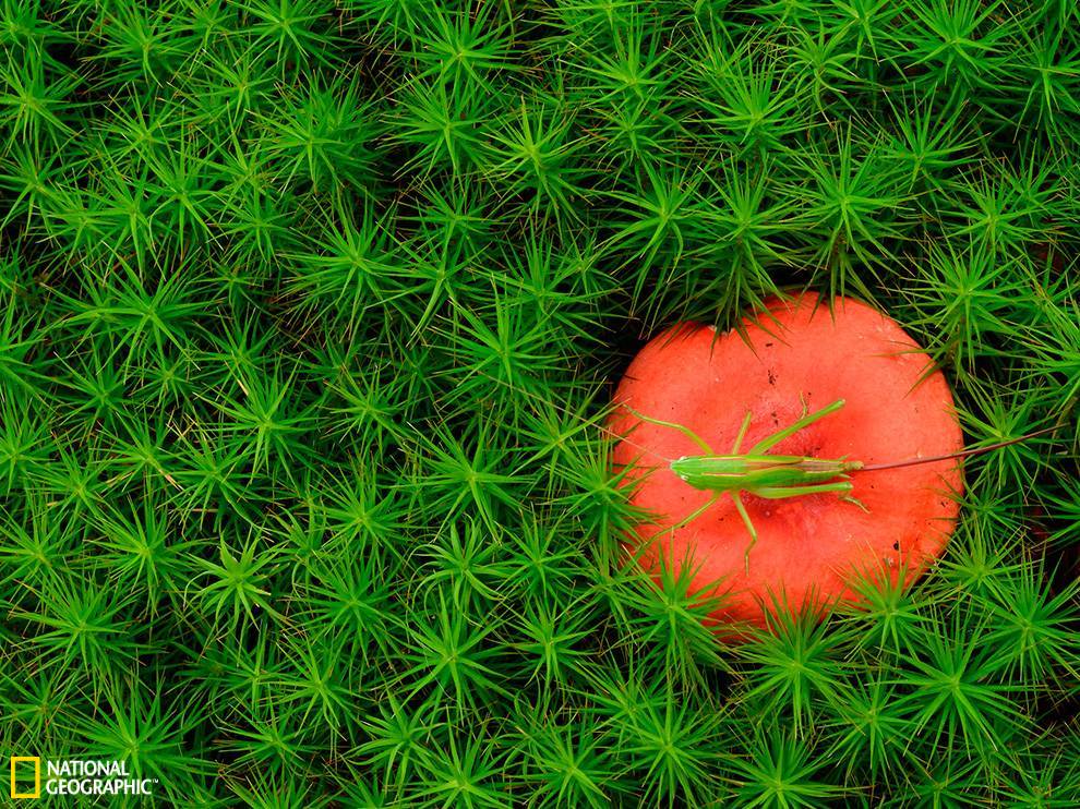 �˹ͣ��Ģ���Ϸ�