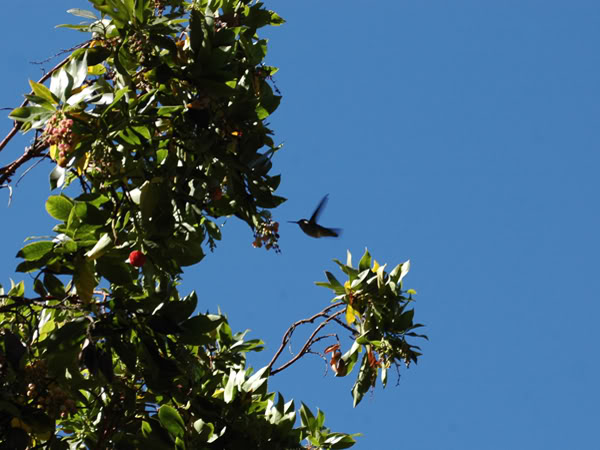 ���о���ʾ������ν�������ȱ���ĸߺ��η��е�����