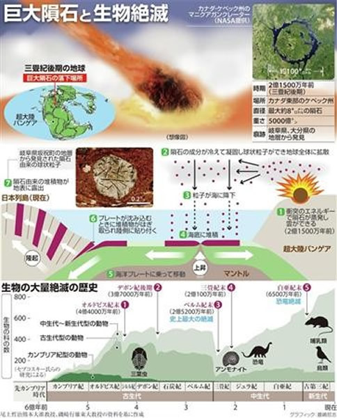 巨大陨石撞击地球导致生物大灭绝