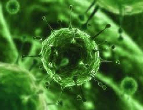 ����������ǿ������������������������ʱ������Ҳ�������浽���