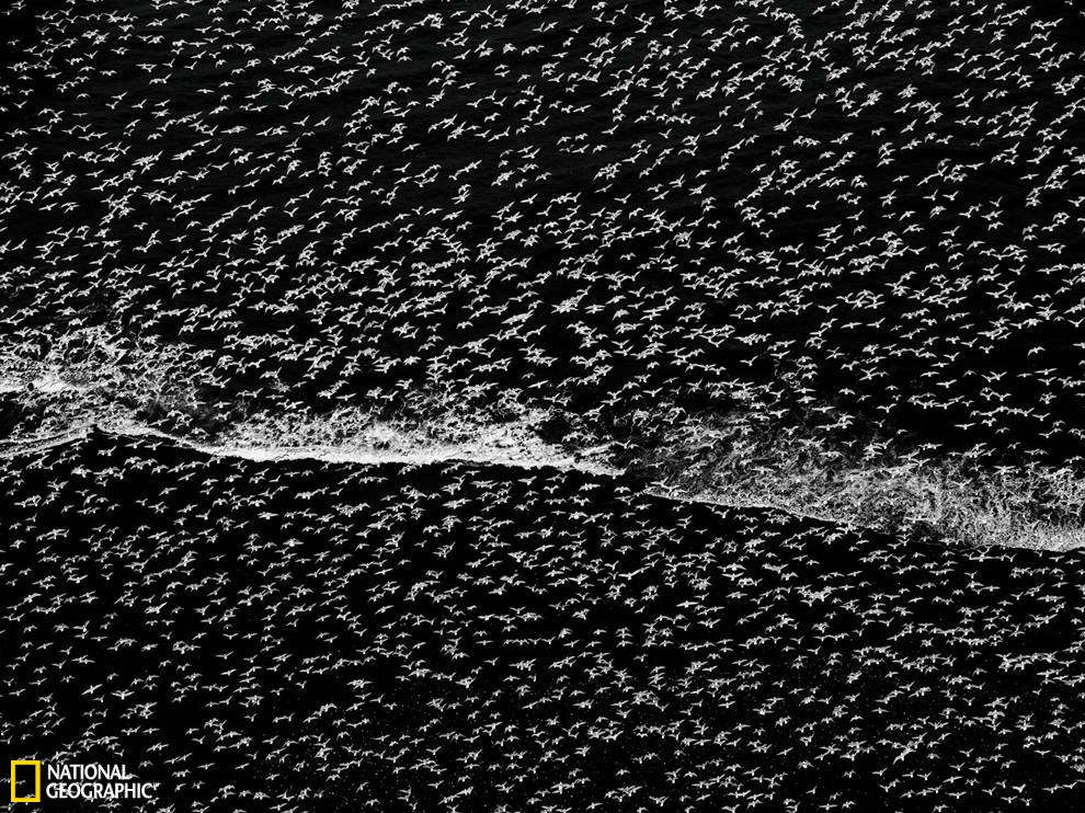 ��������˹�ӵ��𺳺�ŸȺ