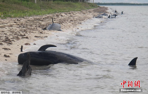 ��ͷ�캽����������������ݴ�������ҹ�԰ˮ���и�ǳ