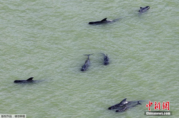 ��ͷ�캽����������������ݴ�������ҹ�԰ˮ���и�ǳ