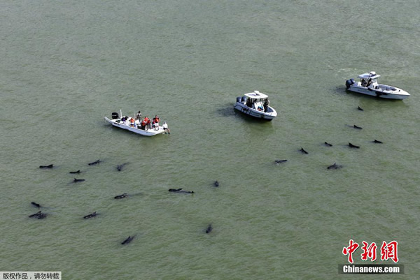 ��ͷ�캽����������������ݴ�������ҹ�԰ˮ���и�ǳ