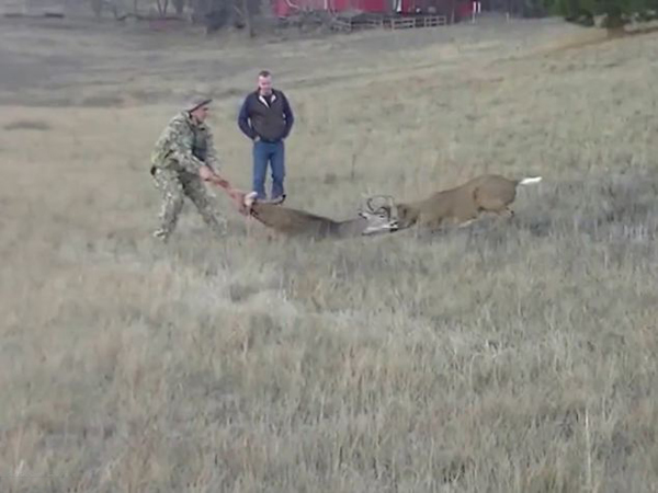 ����������¹������Ǳ����ҵ��������