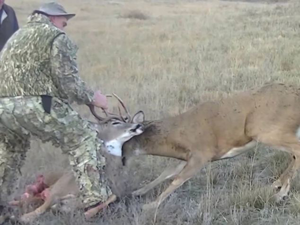 ����������¹������Ǳ����ҵ��������