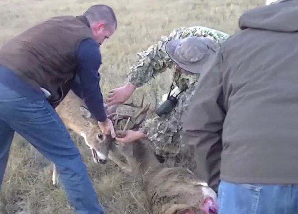 ����������¹������Ǳ����ҵ��������