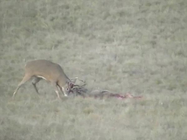 ����������¹������Ǳ����ҵ��������