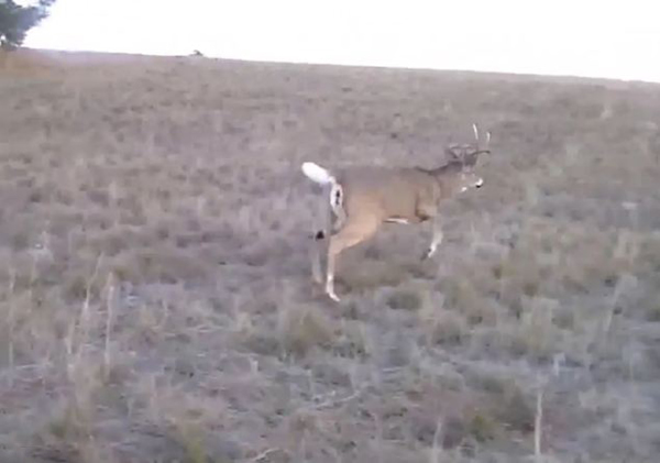 ����������¹������Ǳ����ҵ��������