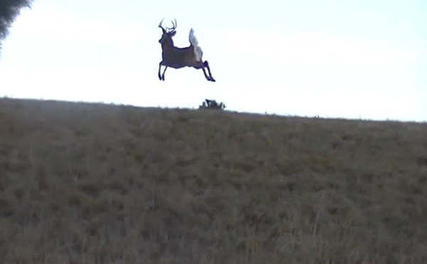 ����������¹������Ǳ����ҵ��������