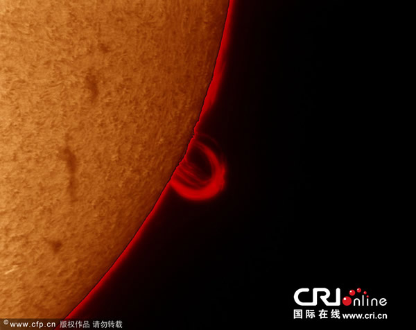 ����������ѧ�Ҳ�׽̫��������ӻ�Լ�̫��ҫ��