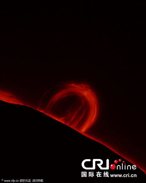 ����������ѧ�Ҳ�׽̫��������ӻ�Լ�̫��ҫ��