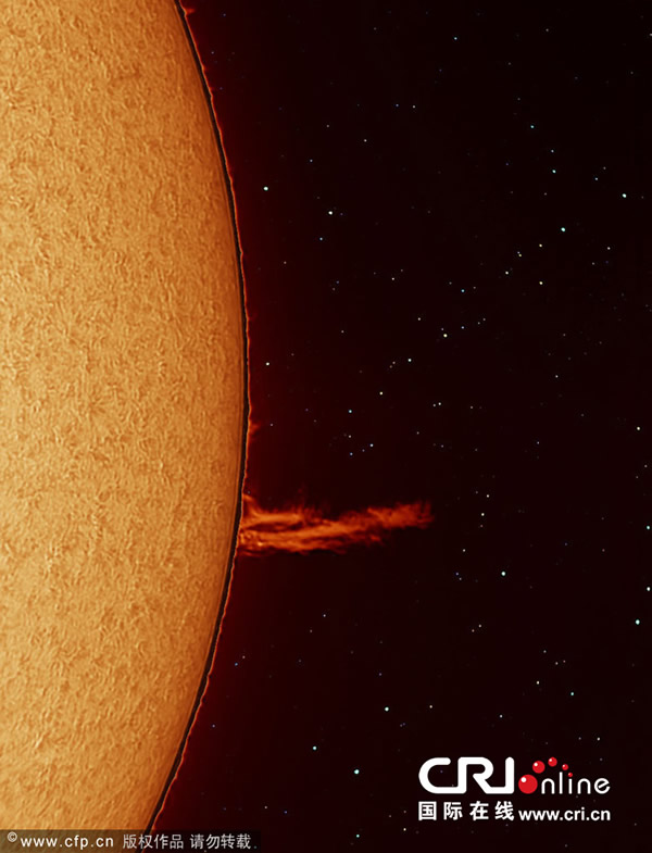 ����������ѧ�Ҳ�׽̫��������ӻ�Լ�̫��ҫ��